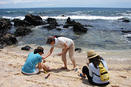 Naoko Otsuka Ecological Artist Research at Honolulu, HI